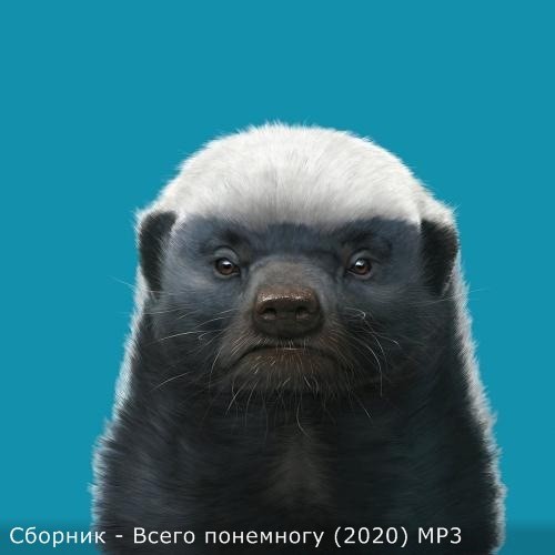 Всего понемногу (2020)