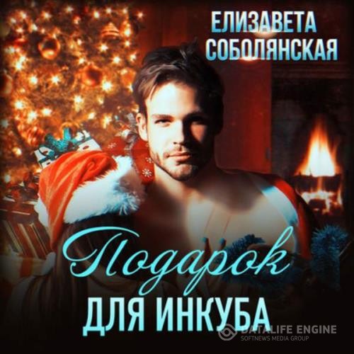 Соболянская Елизавета - Подарок для инкуба (Аудиокнига)