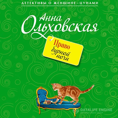 Ольховская Анна - Право бурной ночи (Аудиокнига)