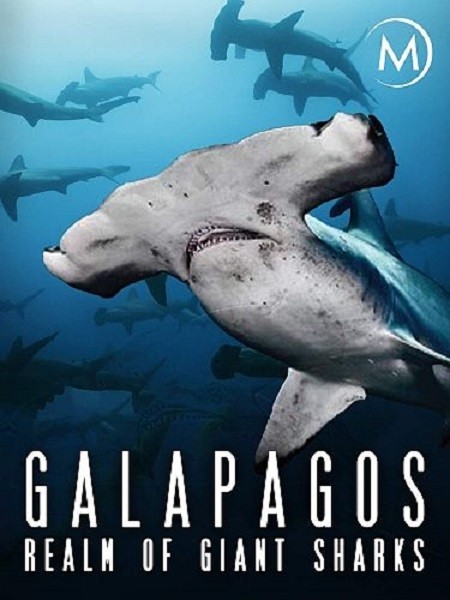 Галапагос. Царство гигантских акул / Galapagos: Realm of Giant Sharks (2012/HDTV 1080i)