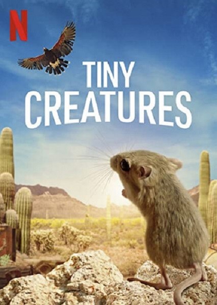 Крошечные существа / Tiny Creatures (2020/WEBRip 720p)