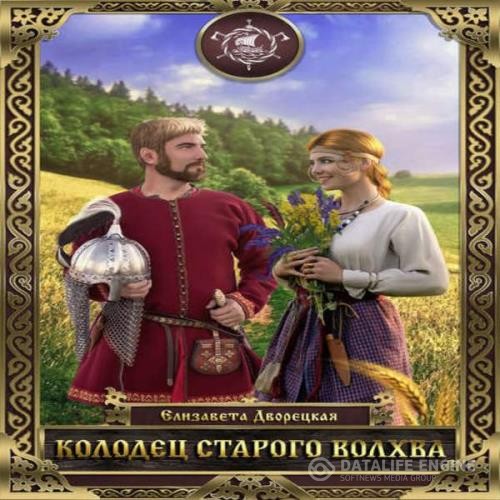 Дворецкая Елизавета - Колодец старого волхва (Аудиокнига)