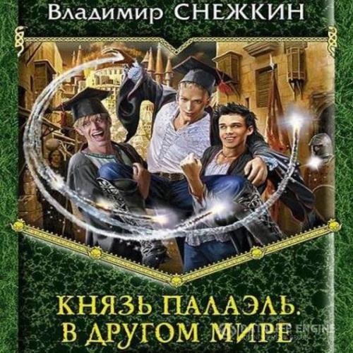 Снежкин Владимир - Князь Палаэль. В другом мире (Аудиокнига)