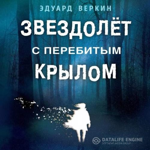 Веркин Эдуард - Звездолет с перебитым крылом (Аудиокнига)