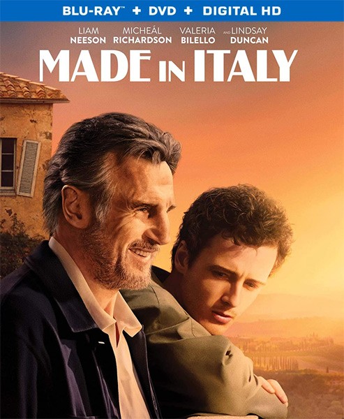 Сделано в Италии / Made in Italy (2020/BDRip/HDRip)