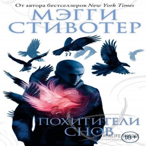 Стивотер Мэгги - Похитители снов (Аудиокнига)