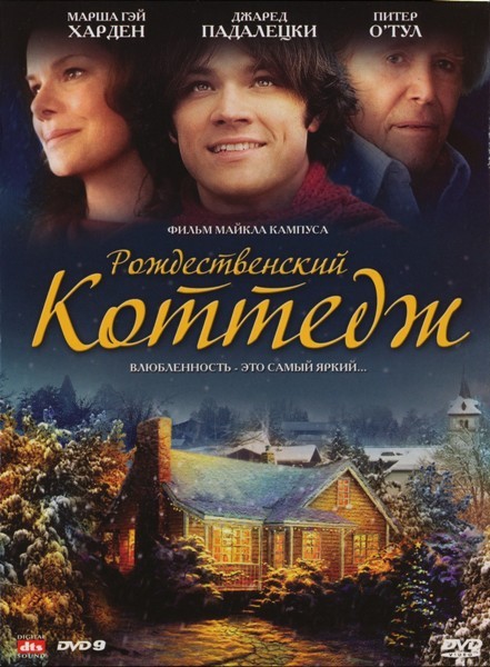 Рождественский коттедж / Christmas Cottage / Thomas Kinkade's Home for Christmas (2008/HDRip)