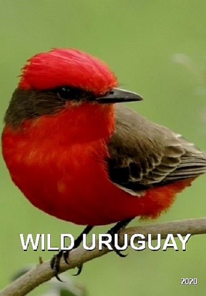 Дикая природа Уругвая / Wild Uruguay (2020/DVB)
