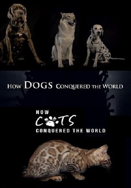 Как собаки и кошки захватили мир / How Dogs And Cats Conquered The World (2020/HDTVRip 720p)