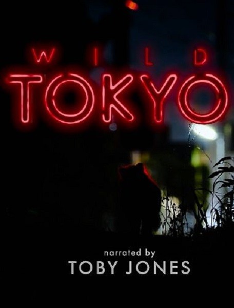 Дикий Токио / Wild Tokyo (2020/HDTV 1080i)