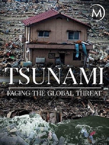 Цунами. Перед лицом глобальной угрозы / Tsunamis: Facing a Global Threat (2019/HDTVRip 720p)