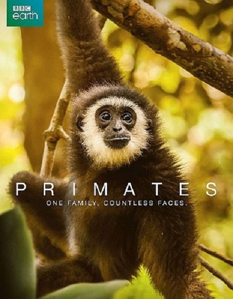 Приматы / Primates (2020/DVB)