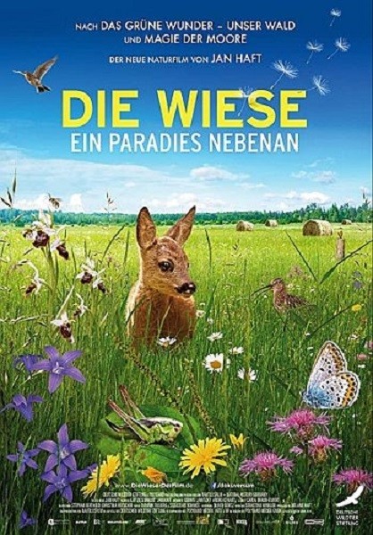 Луг. Потерянный рай / Луг - рай рядом с нами / Die Wiese - Ein Paradies nebenan (2019/HDTV 1080i)