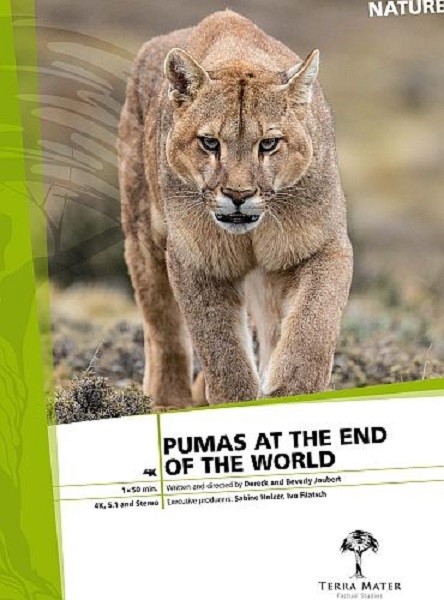 Пумы на краю света / Pumas At The End of The World (2020/HDTV 1080i)