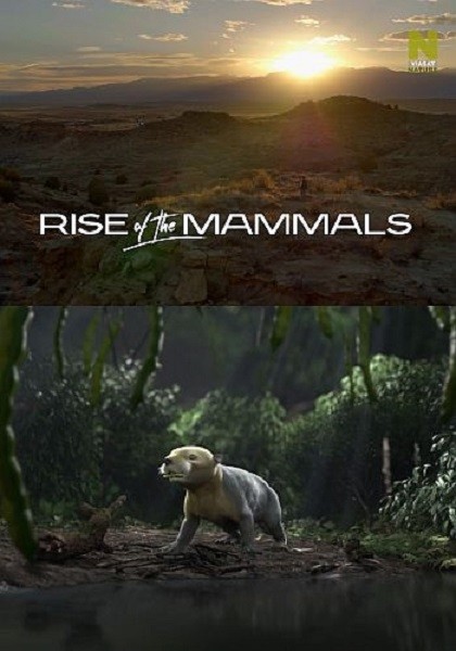 Расцвет млекопитающих / Rise of the Mammals (2019/HDTV 1080i)