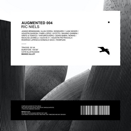 Augmented 004 (2021)