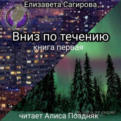 Сагирова Елизавета - Вниз по течению. Книга 1 (Аудиокнига)