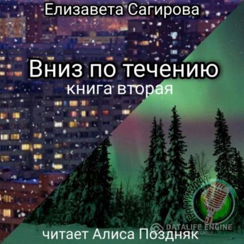 Сагирова Елизавета - Вниз по течению. Книга 2 (Аудиокнига)