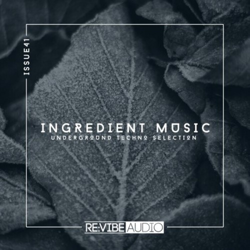 Ingredient Music, Vol. 41 (2021)