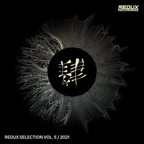 Redux Selection Vol 5 / 2021 (2021)