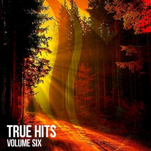 True Hits Vol 6 (2021)