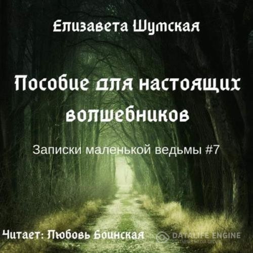 Шумская Елизавета - Пособие для настоящих волшебников (Аудиокнига)