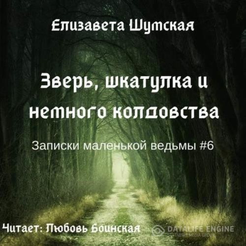 Шумская Елизавета - Зверь, шкатулка и немного колдовства (Аудиокнига)