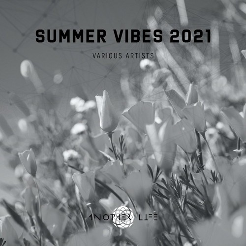 Summer Vibes 2021 (2021)