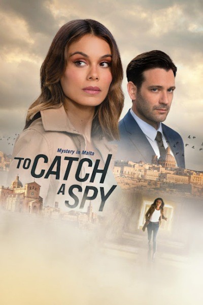 Поймать шпиона / To Catch a Spy (2021/HDTVRip)