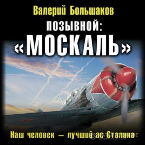 Большаков Валерий - Позывной: «Москаль». Наш человек – лучший ас Сталина (Аудиокнига)