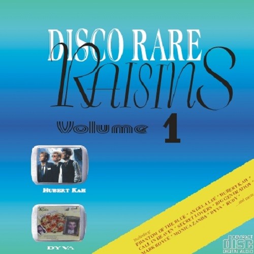 Disco Rare Raisins Vol. 01-18 (2004-2009)