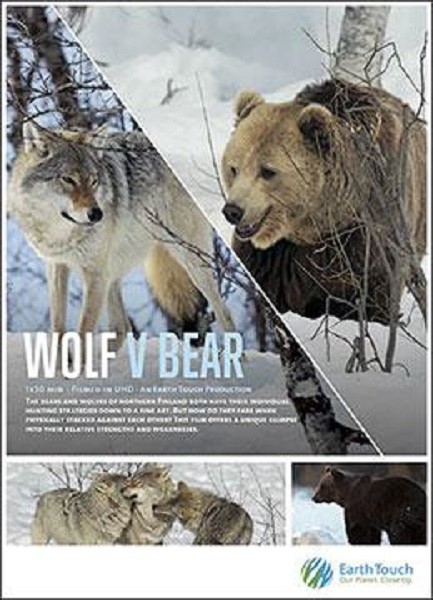 Волк против медведя / Wolf vs. Bear (2018/HDTVRip 720p)