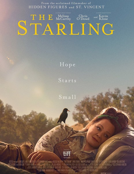Скворец / The Starling (2021/WEB-DL/WEB-DLRip)