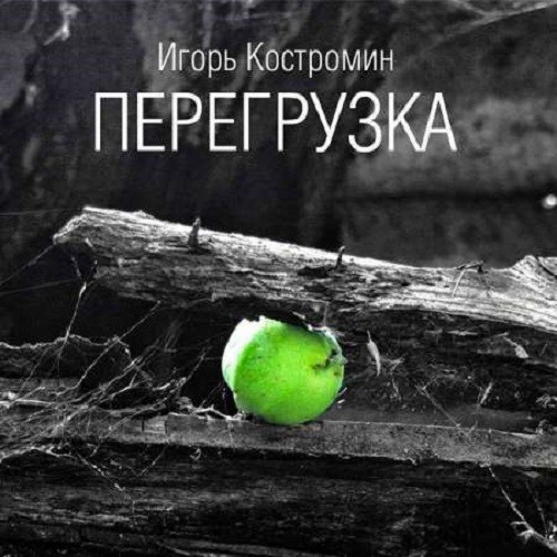 Игорь Костромин - Перегрузка (2021)