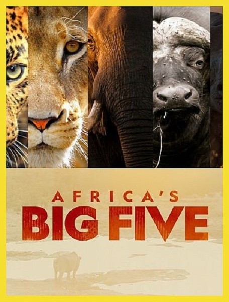 Большая пятерка Африки / Africa's Big Five (2020/HDTVRip 720p)