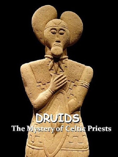 Друиды. Тайна кельтских жрецов / Druids. The Mystery of Celtic Priests (2020/DVB)