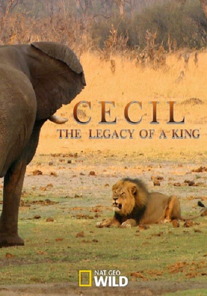 Сесил: Наследие короля / Cecil: The Legacy of a King (2020/WEBRip 1080p)