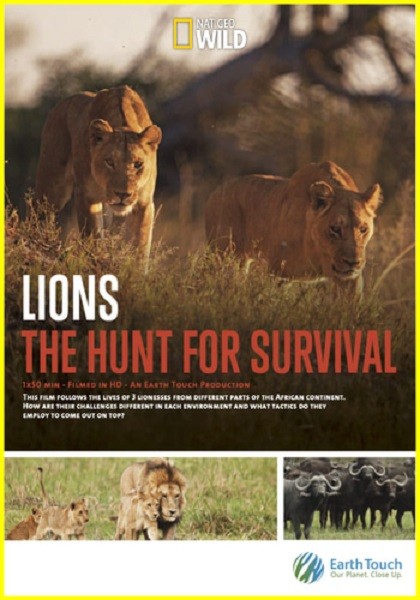 Львицы: борьба за выживание / Lions: The Hunt For Survival (2021/WEBRip 1080p)