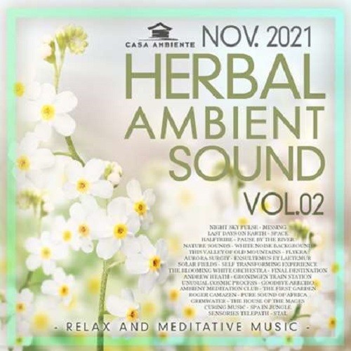 Herbal Ambient Sound Vol.02 (2021)