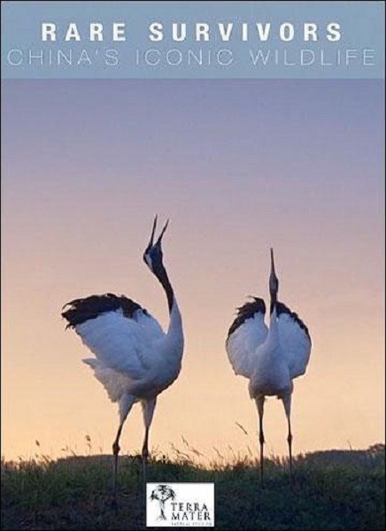 Редкие и выжившие: Культовые животные Китая / Rare Survivors - China’s iconic Wildlife (2020/HDTV 1080p)