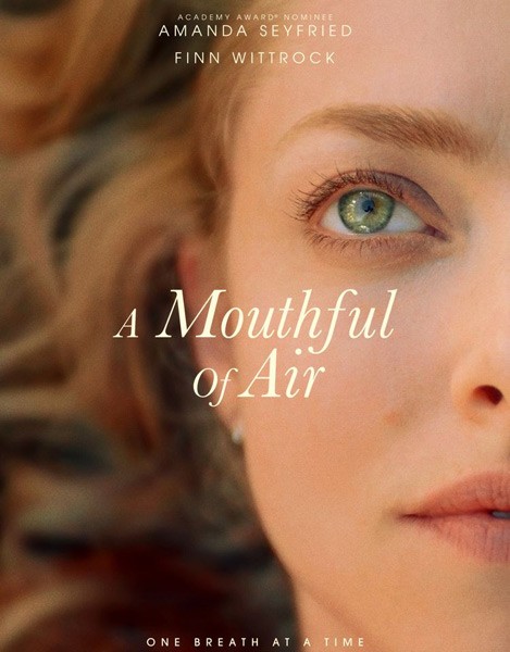 Глоток воздуха / A Mouthful of Air (2021/WEB-DL/WEB-DLRip)