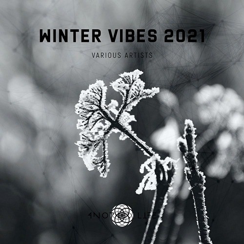 Winter Vibes 2021 (2021)