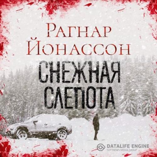 Йонассон Рагнар - Снежная слепота (Аудиокнига)