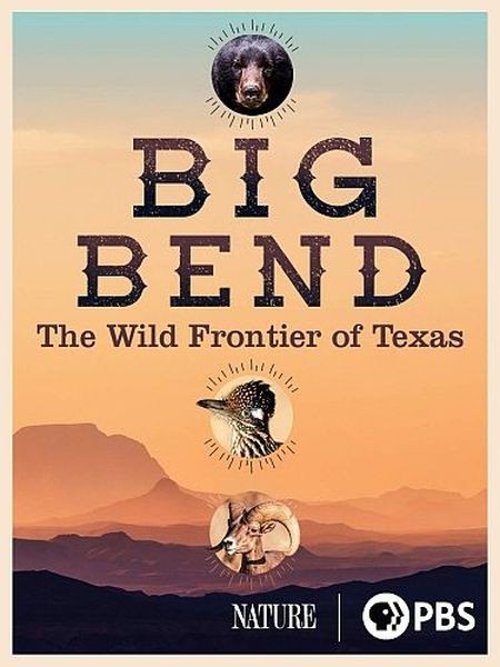 Торжество дикой природы. Национальный парк Биг Бенд / Big Bend - America's Wildest Frontier (2020/DVB)