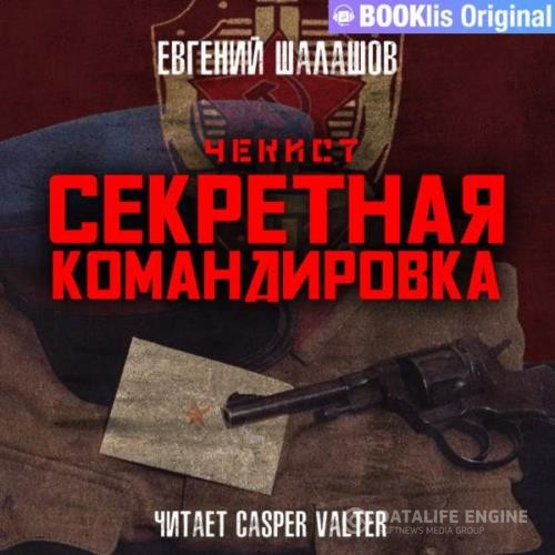 Шалашов Евгений - Секретная командировка (Аудиокнига)