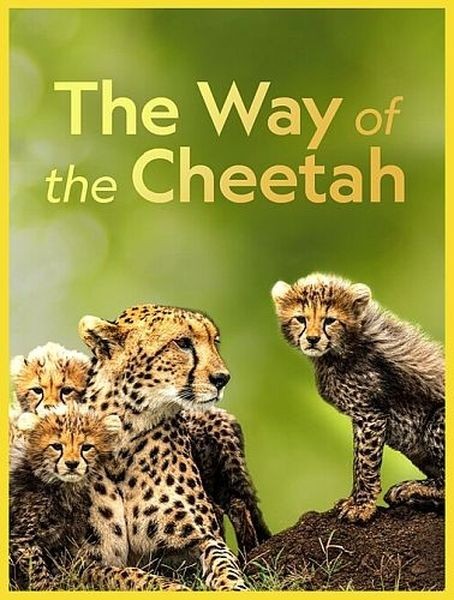 Путь / Судьба гепарда / The Way Of The Cheetah (2022/HDTVRip 720p)