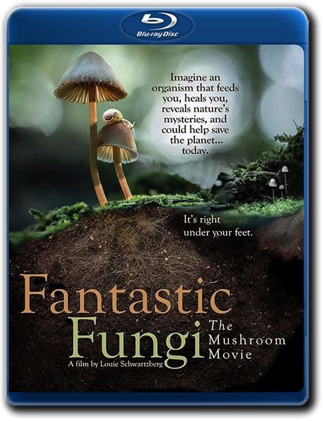 Фантастические грибы / Fantastic Fungi (2019/BDRip 720p)