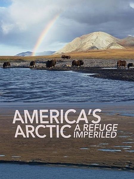 Американская Арктика - заповедные земли под угрозой / America’s Arctic – A Refuge Imperiled (2020/HDTVRip 720p)