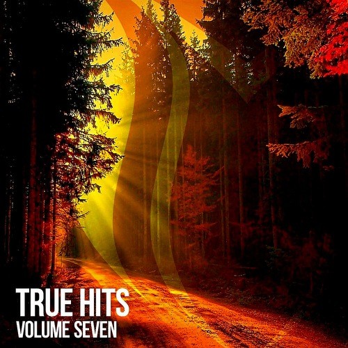 True Hits Vol 7 (2022)