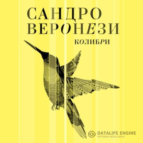 Веронези Сандро - Колибри (Аудиокнига)